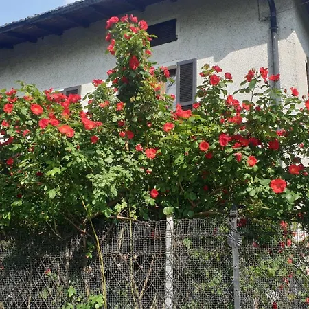 Foreground - Pet Friendly Stay- Garden-parking-lake View- Bike Friendly House Vakantiehuis